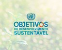 ONU e Izabela Hendrix estabelecem convênio inédito pela promoção dos Objetivos de Desenvolvimento Sustentável