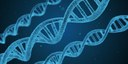 Izabela Hendrix promove palestra sobre variância genética