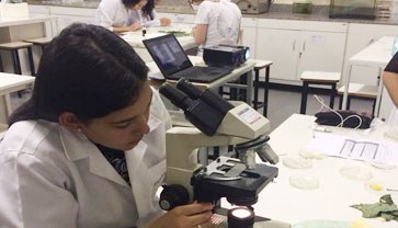 Pesquisas e atividades investigativas que proporcionam ao aluno uma experimentação prática da profissão